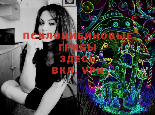 2c-b Алзамай