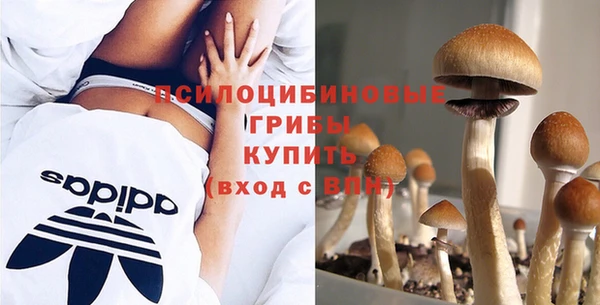 дурь Алексин
